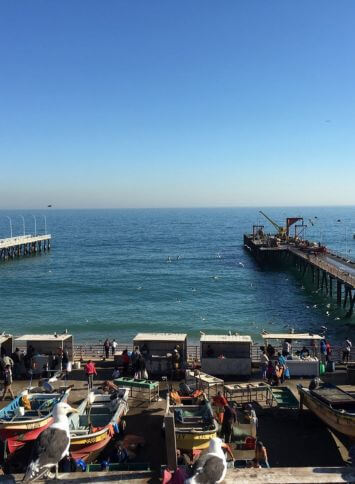 Caleta-Portales-Hotels and sites Chile