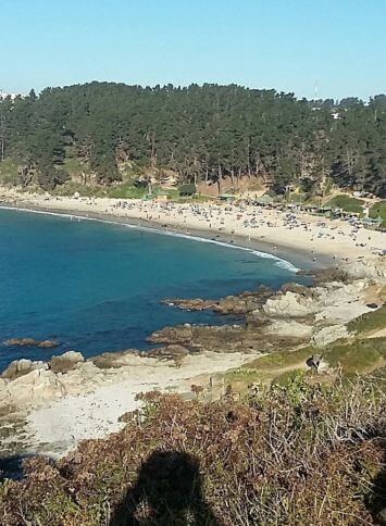 Playa-Canelo-Hotels and sites Chile