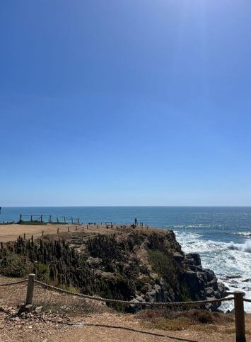 Punta-De-Lobosr-Hotels and sites Chile